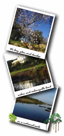 we_buy_land