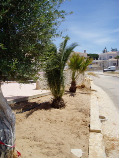 P1010092