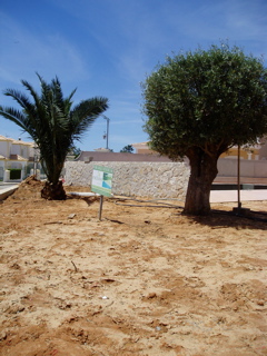 P1010220