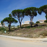 plots for sale vale da quinta
