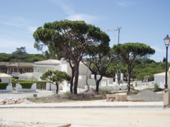 P1010031